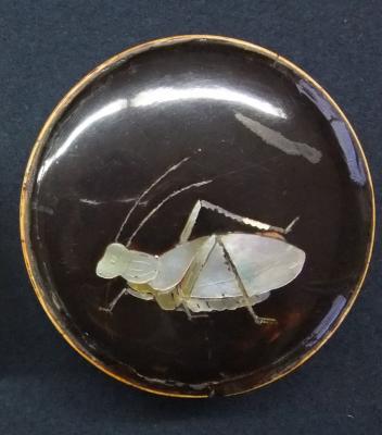 企画展「茶道具　虫図鑑」