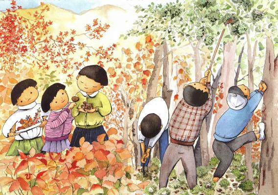 昭和100年企画「あの日の風景　鈴木ひで展～7000枚の絵手紙と水彩画に描かれた昭和・平成の日常～」